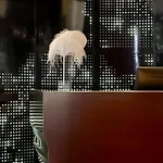 W - Opera Parijs